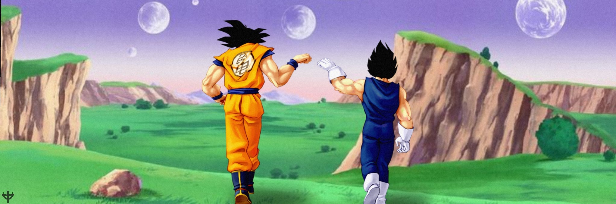 vegeta&goku