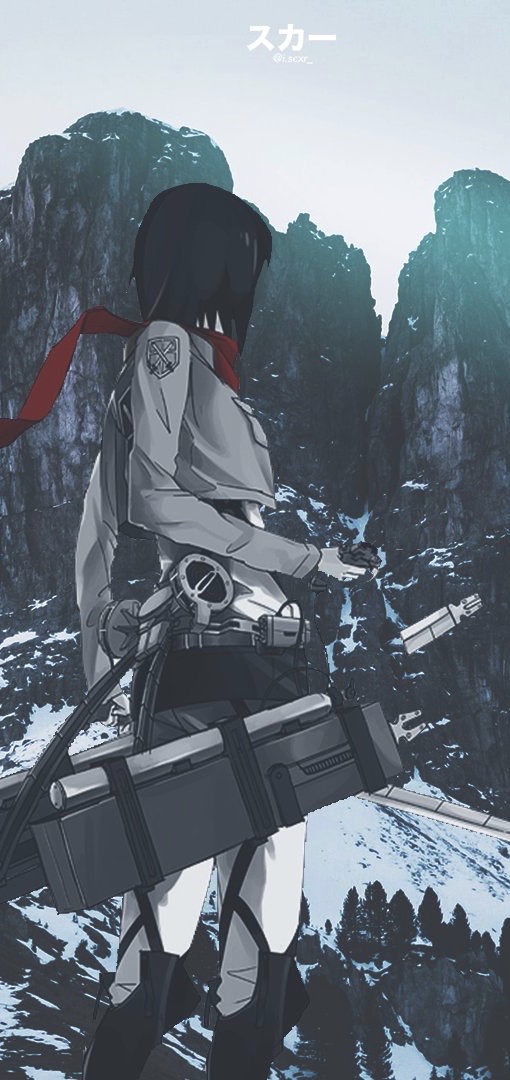 Mikasa