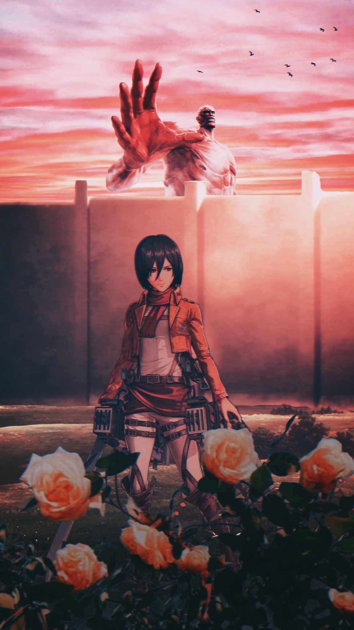 Mikasa
